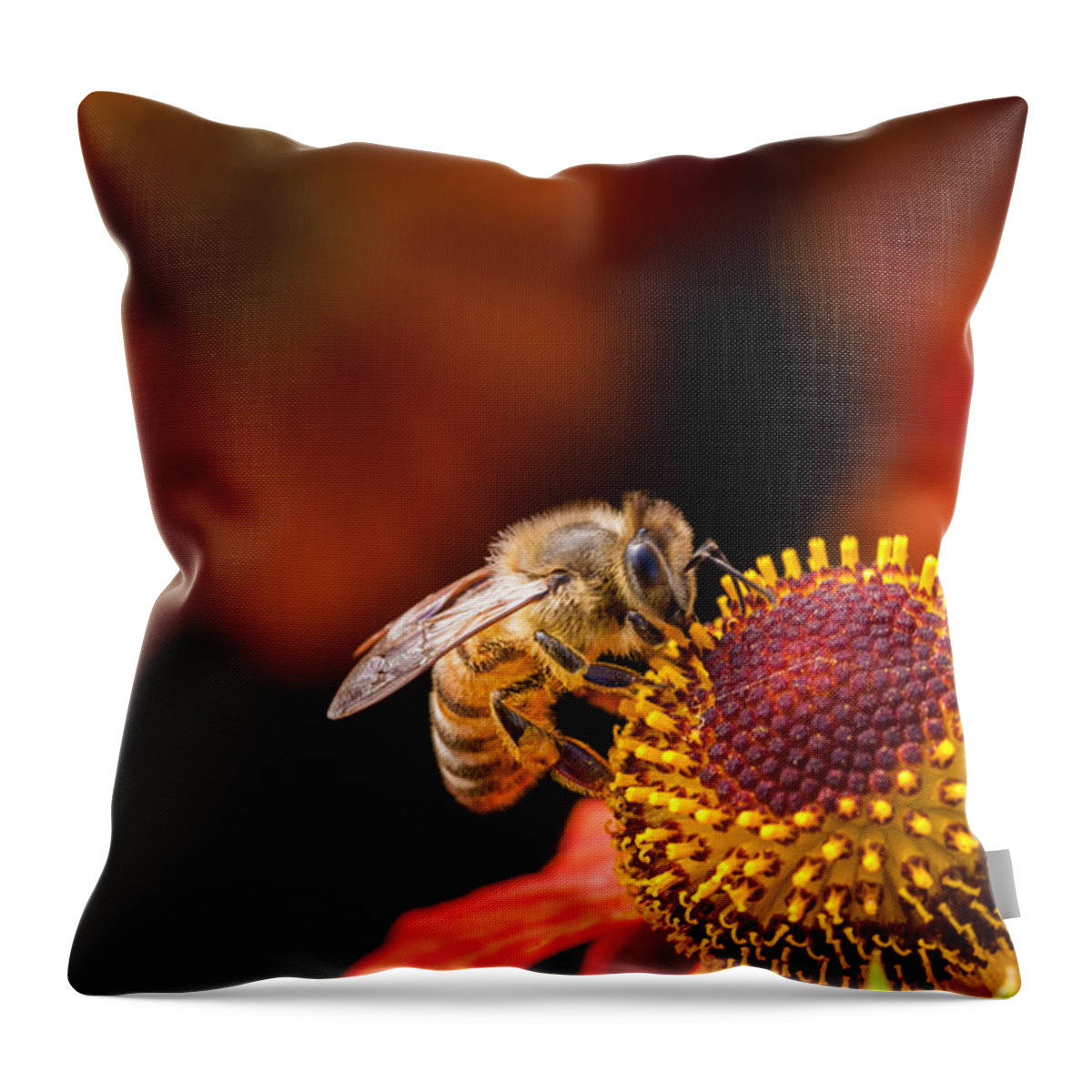 Bee Throw Pillow featuring the photograph Honeybee at Work by Jurgen Lorenzen