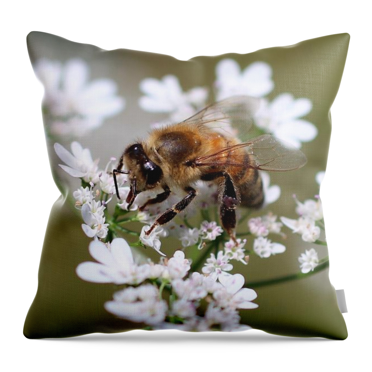 Honeybee Throw Pillow featuring the photograph Honeybee on Cilantro by Lucinda VanVleck