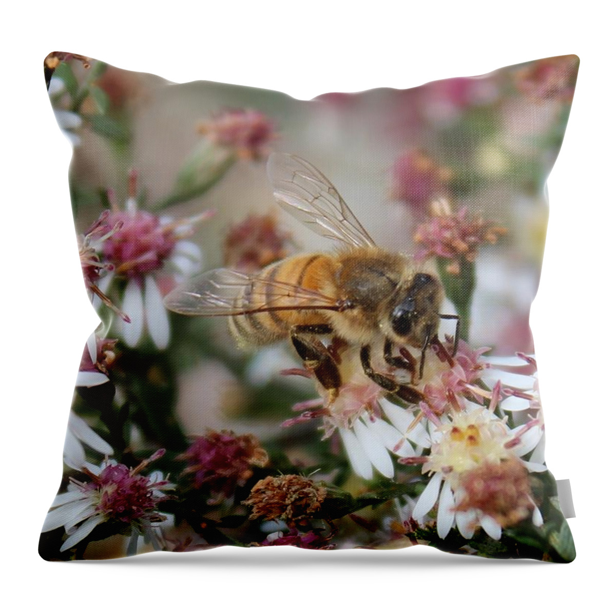 Honeybee Throw Pillow featuring the photograph Honeybee Sipping Nectar on Wild Aster by Lucinda VanVleck