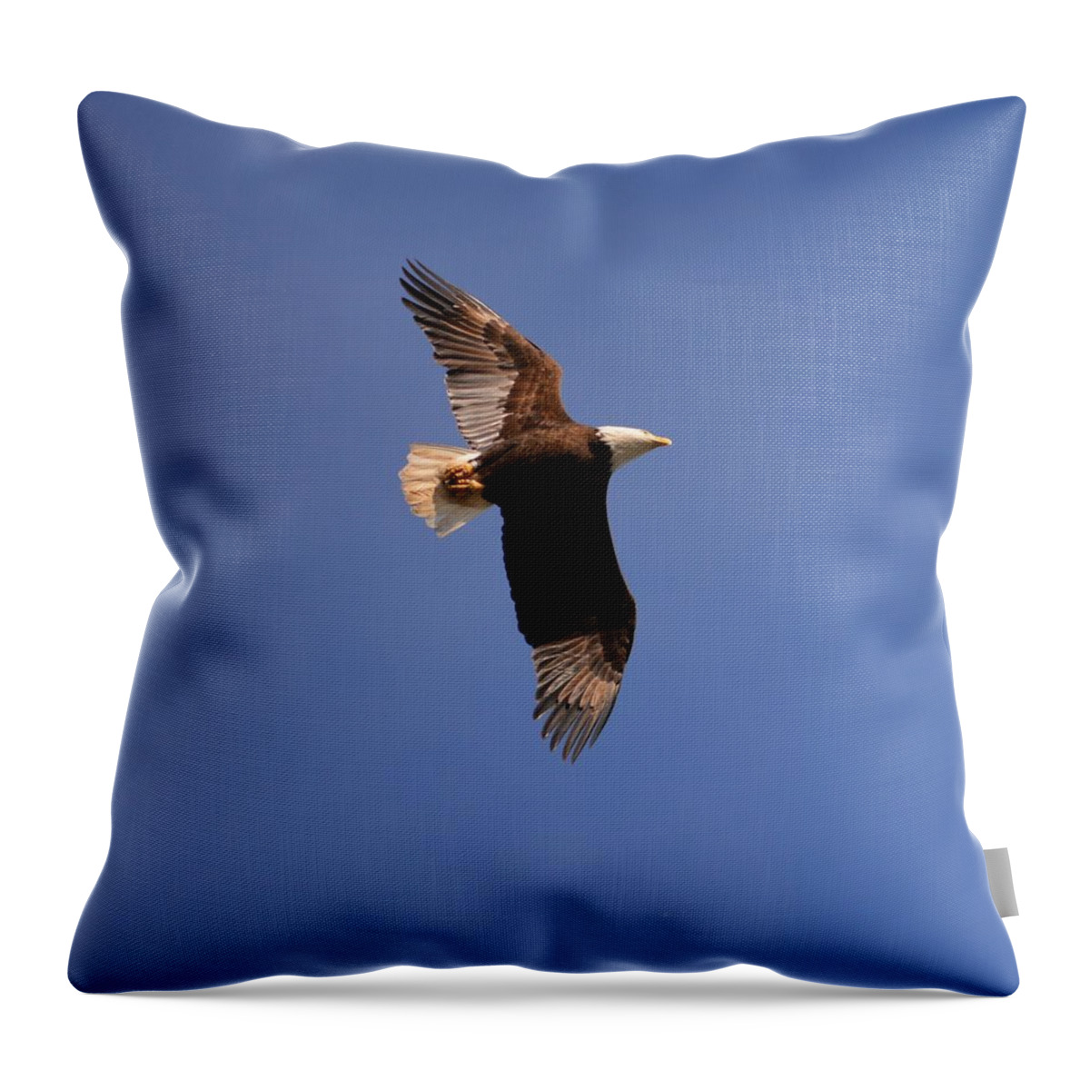 Eagle. Landscape Throw Pillow featuring the photograph Honor The Veterens by Tamara Michael