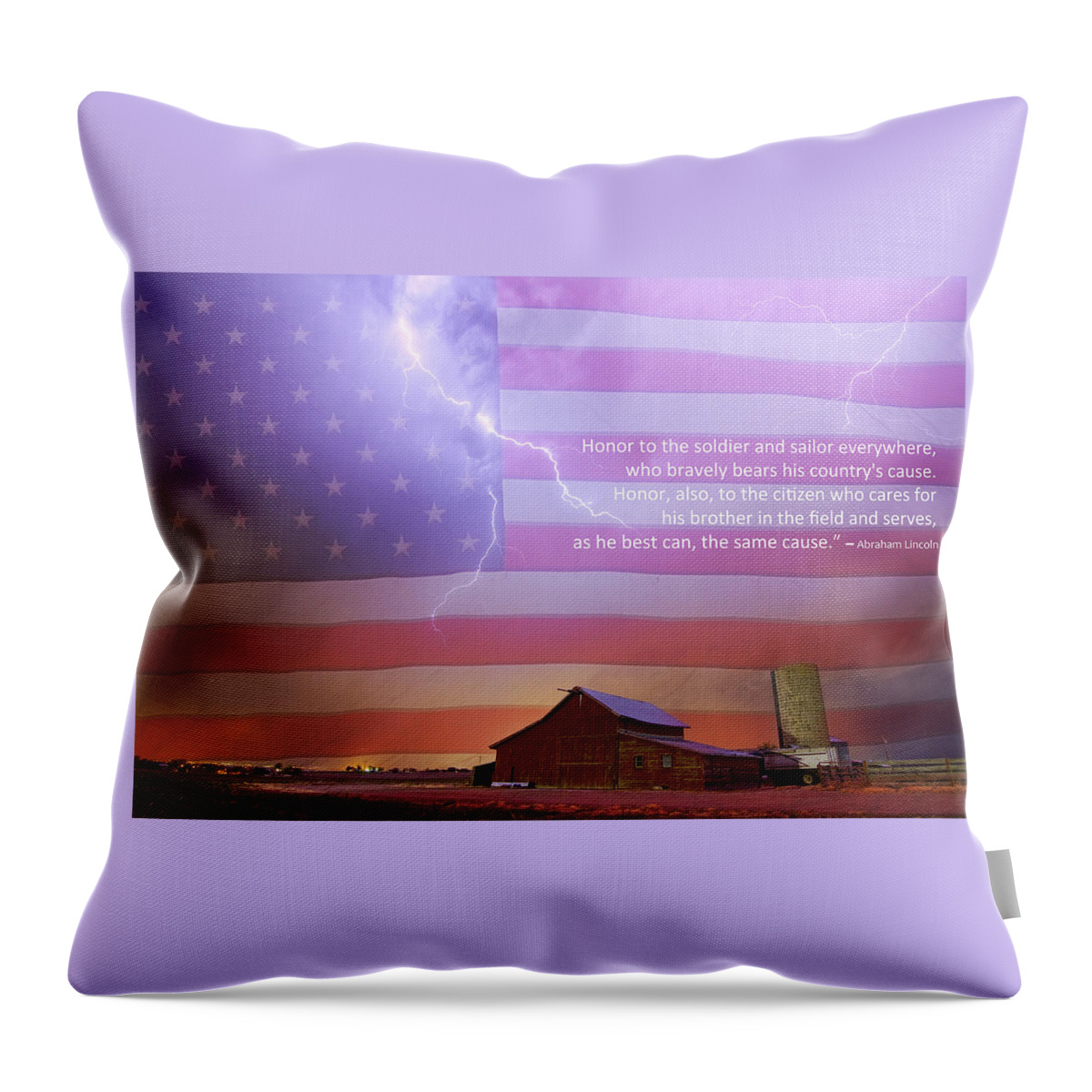 Usa Throw Pillow featuring the photograph Honor To The Soldier And Sailor Everywhere by James BO Insogna
