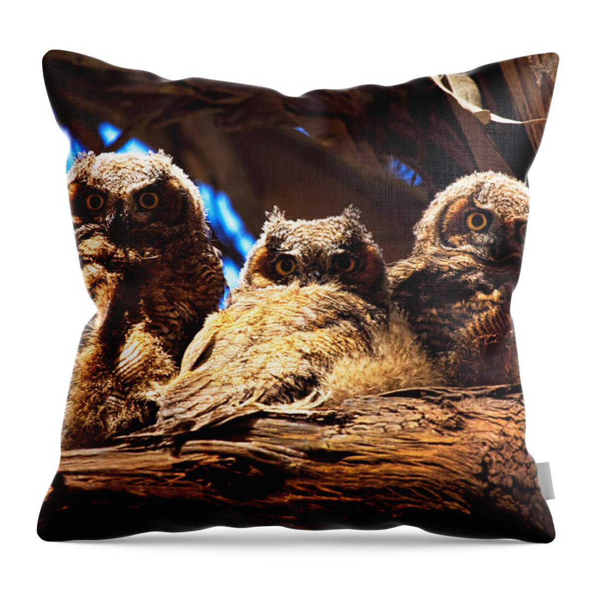 Owl Throw Pillow featuring the photograph Hoo Are You by Beth Sargent
