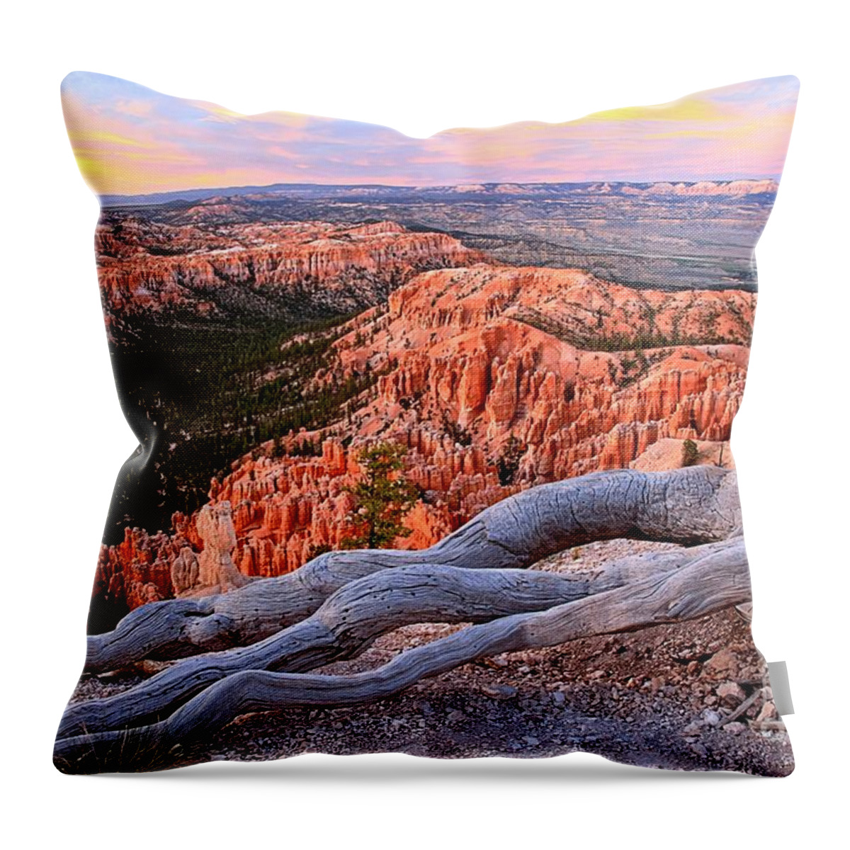 Bryce Canyon Throw Pillow featuring the photograph Hoodoos In The Canyon by Adam Jewell