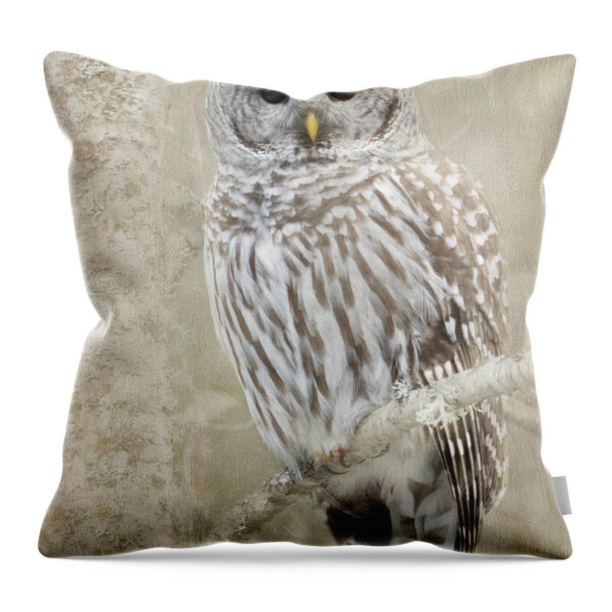 Barred Owl Throw Pillow featuring the photograph Hoot Hoot Hoot by Beve Brown-Clark Photography