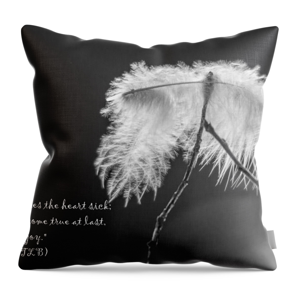 Branch Throw Pillow featuring the photograph Hope Deffered by Cheryl Baxter