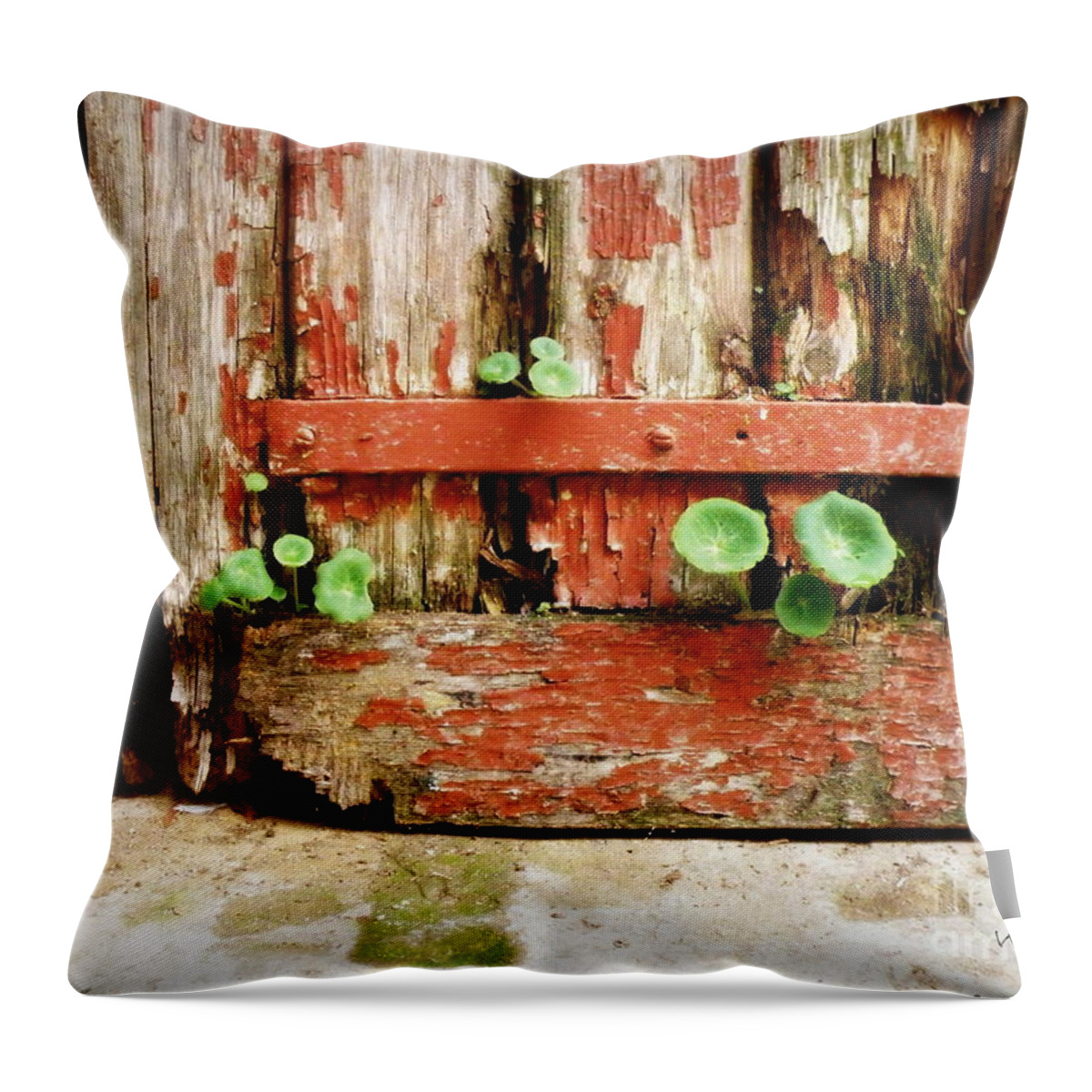 Hope Throw Pillow featuring the photograph Hope by Lainie Wrightson