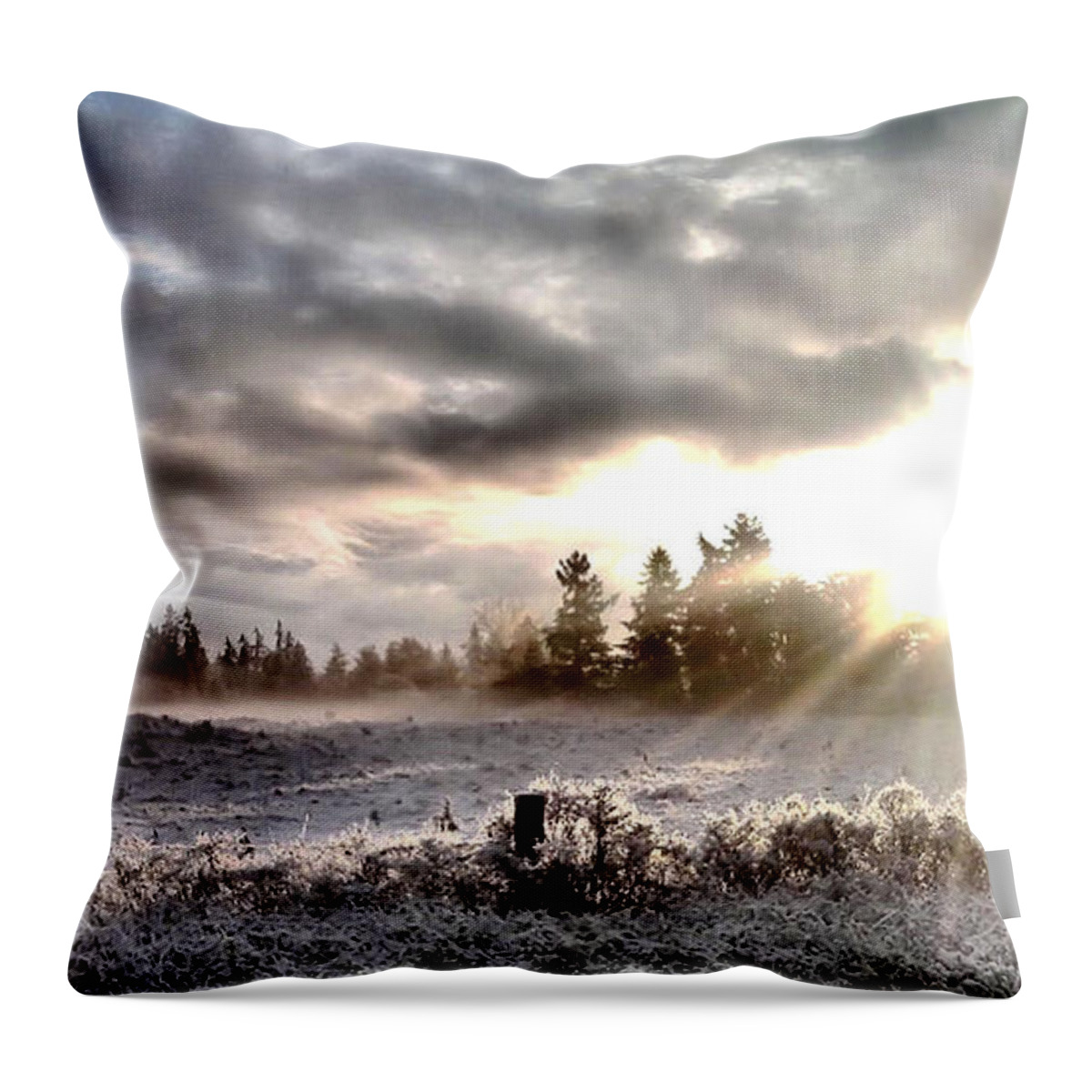 Landscape Throw Pillow featuring the photograph Hope - landscape version by Rory Siegel