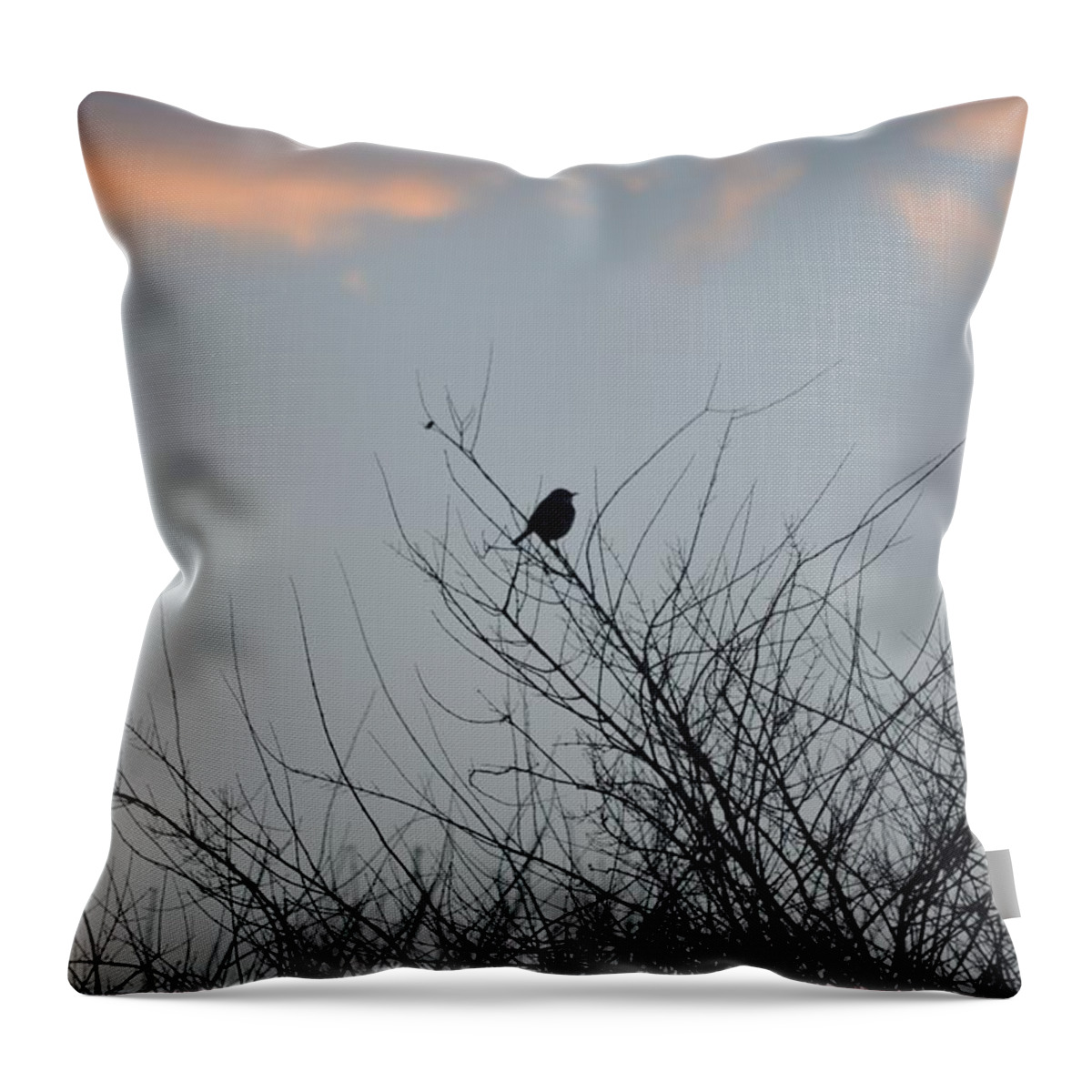Path Of Happiness Throw Pillow featuring the photograph Hope Perched atop by Sonali Gangane