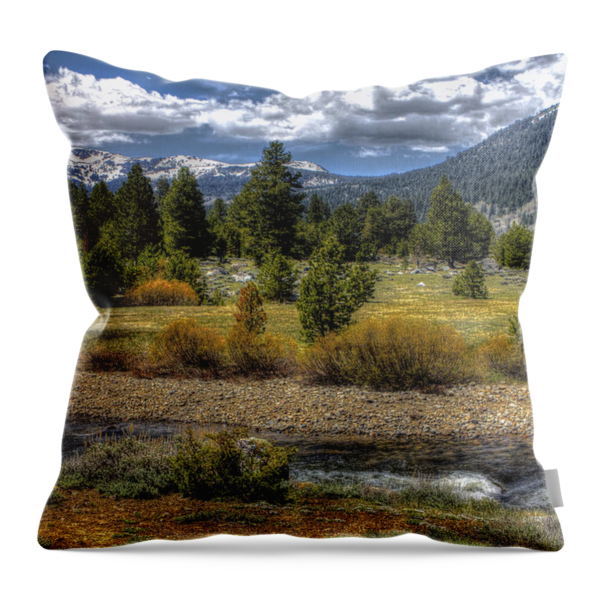 Landscape Throw Pillow featuring the photograph Hope Valley Wildlife Area by SC Heffner