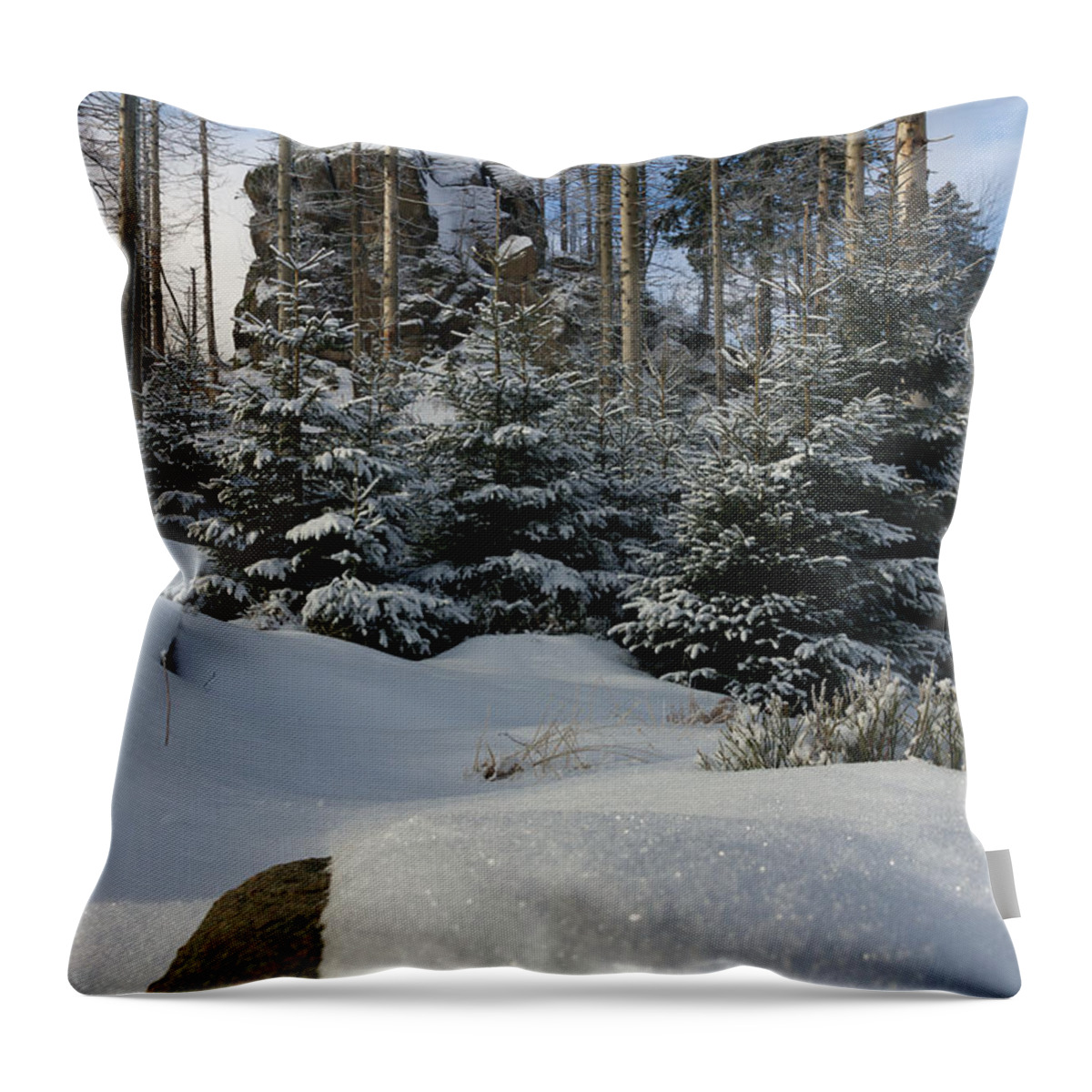 Nature Throw Pillow featuring the photograph Hopfensack, Harz by Andreas Levi