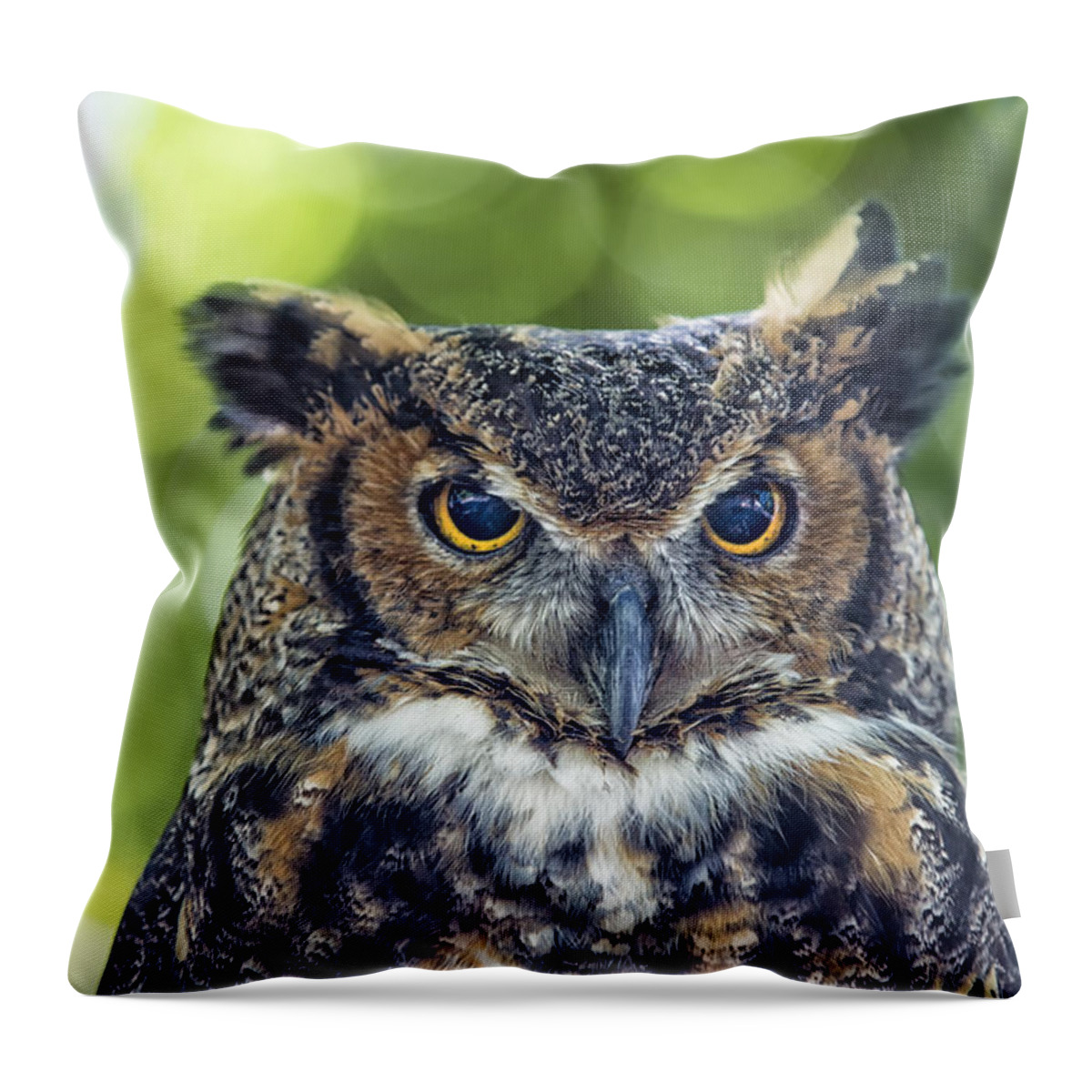 Owl Throw Pillow featuring the photograph Horned Owl Up Close by Bill and Linda Tiepelman