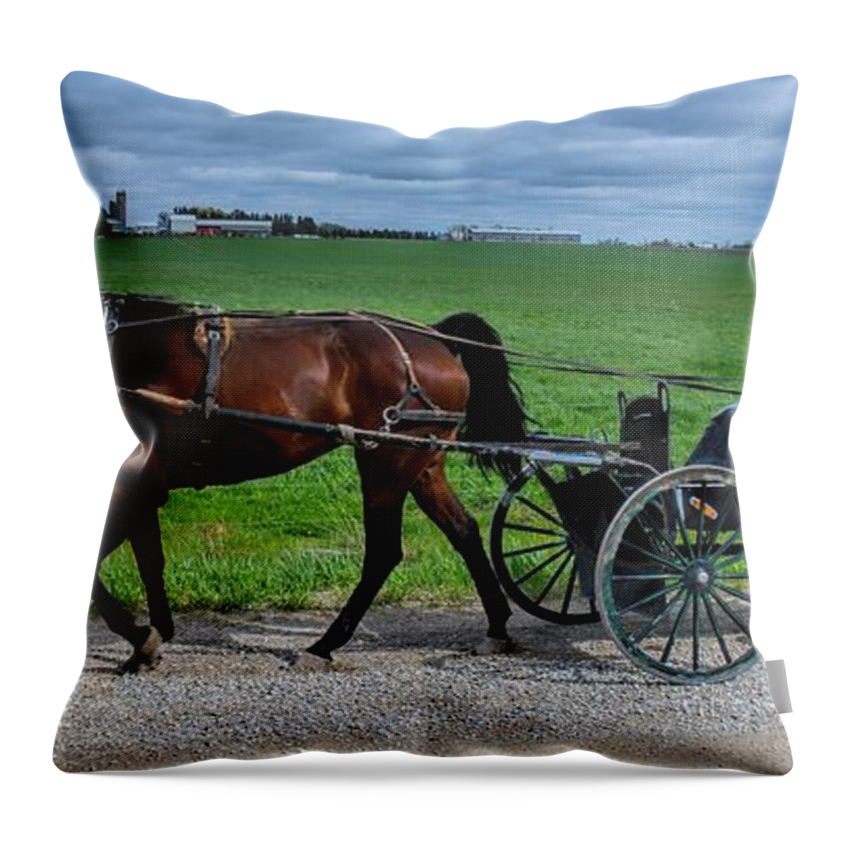 Horse Throw Pillow featuring the photograph Horse And Buggy on the Farm by Henry Kowalski