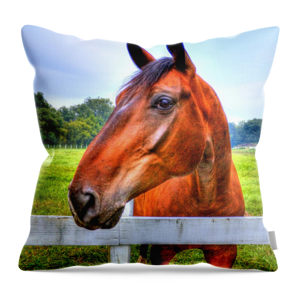 Horse Throw Pillow featuring the photograph Horse Closeup by Jonny D