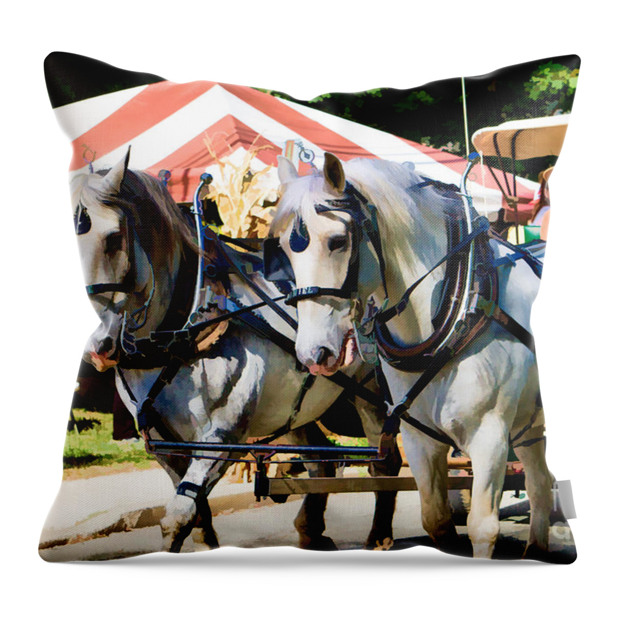  Throw Pillow featuring the photograph Horse Drawn Carriage by Eleanor Abramson