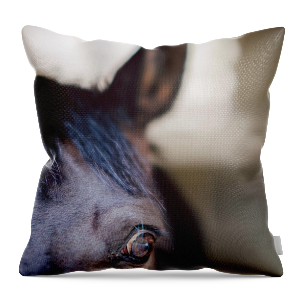 Horse Throw Pillow featuring the photograph Horse Eye , Close Up by Guido Mieth