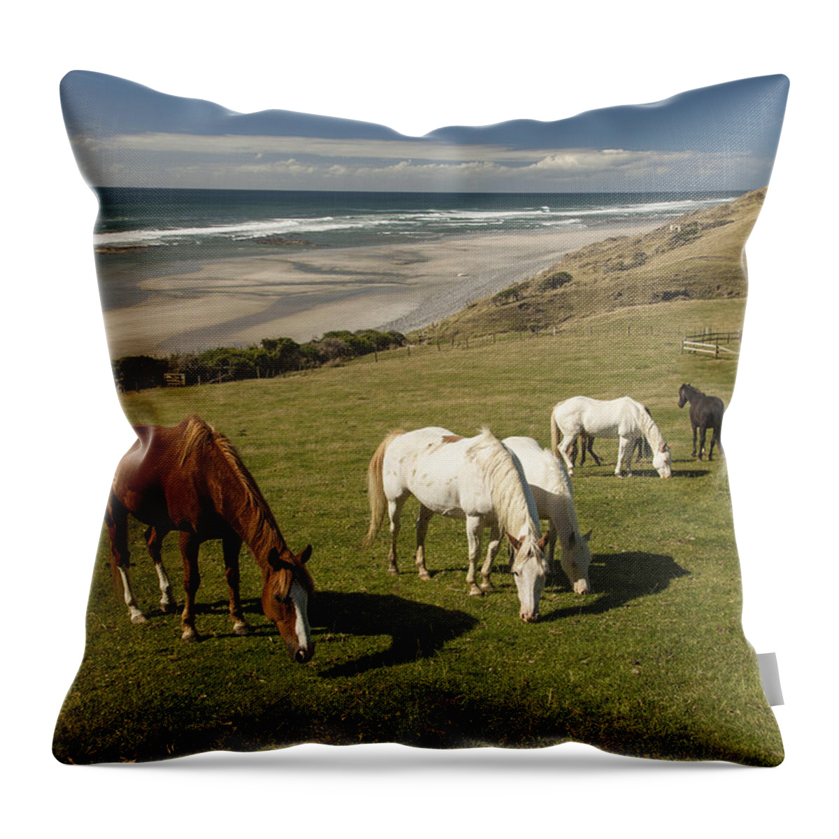 535895 Throw Pillow featuring the photograph Horse Herd Grazing Golden Bay New by Colin Monteath