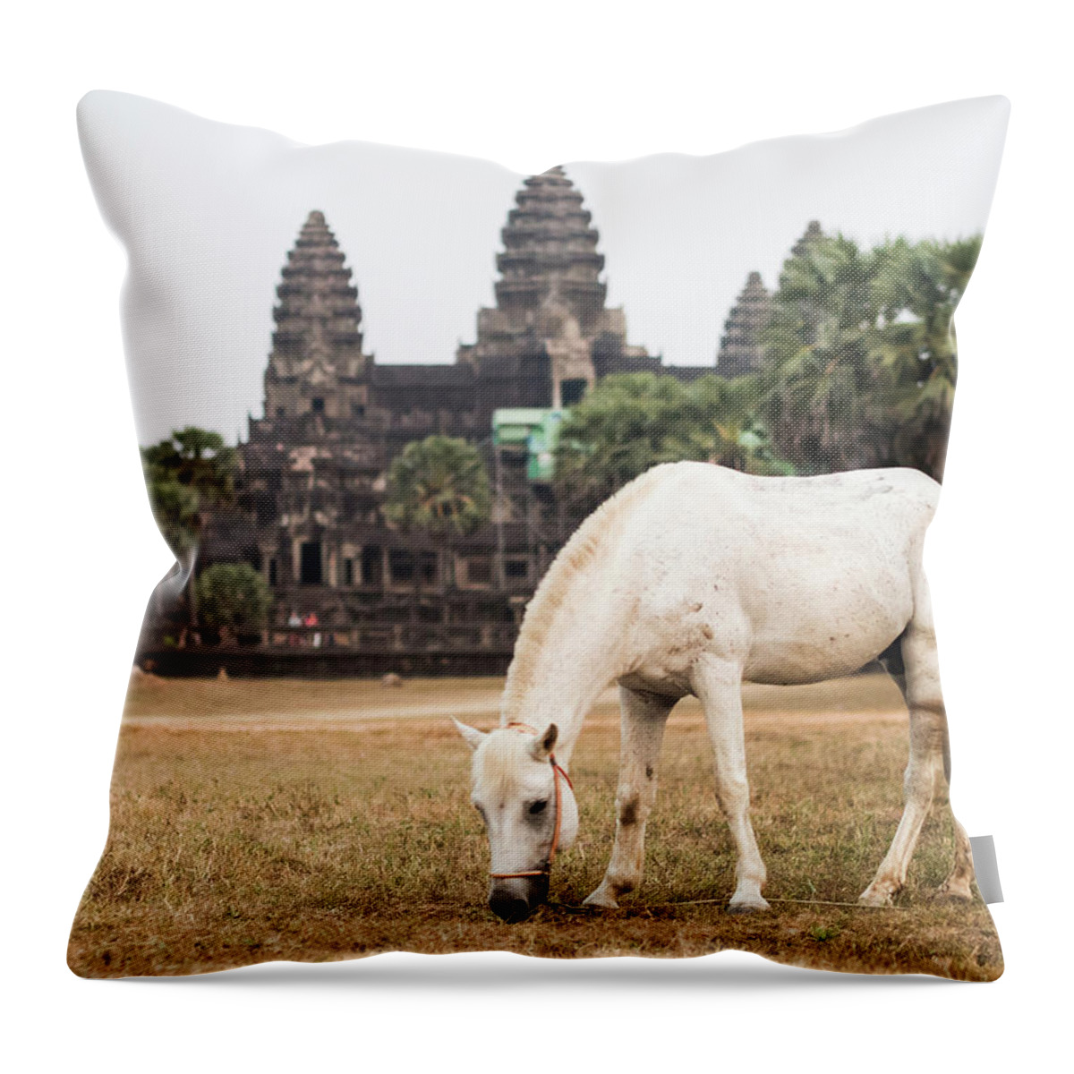 Horse Throw Pillow featuring the photograph Horse In Front Of Angkor Wat Temple by Miha Pavlin