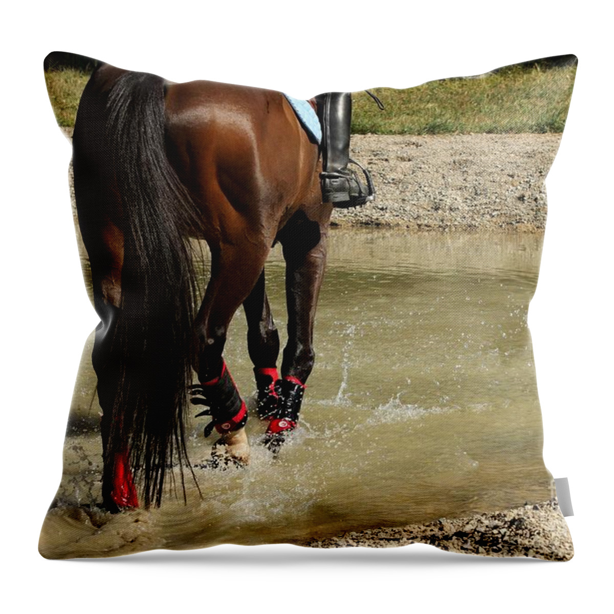 Horse Throw Pillow featuring the photograph Horse in Water by Janice Byer