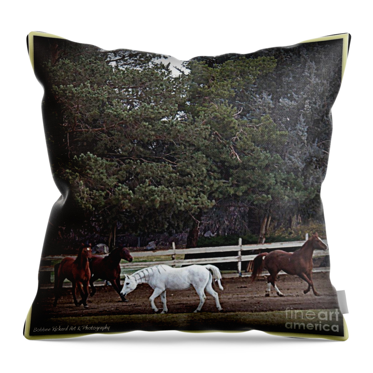 Acrylic Prints Throw Pillow featuring the photograph Horse Play 3 by Bobbee Rickard