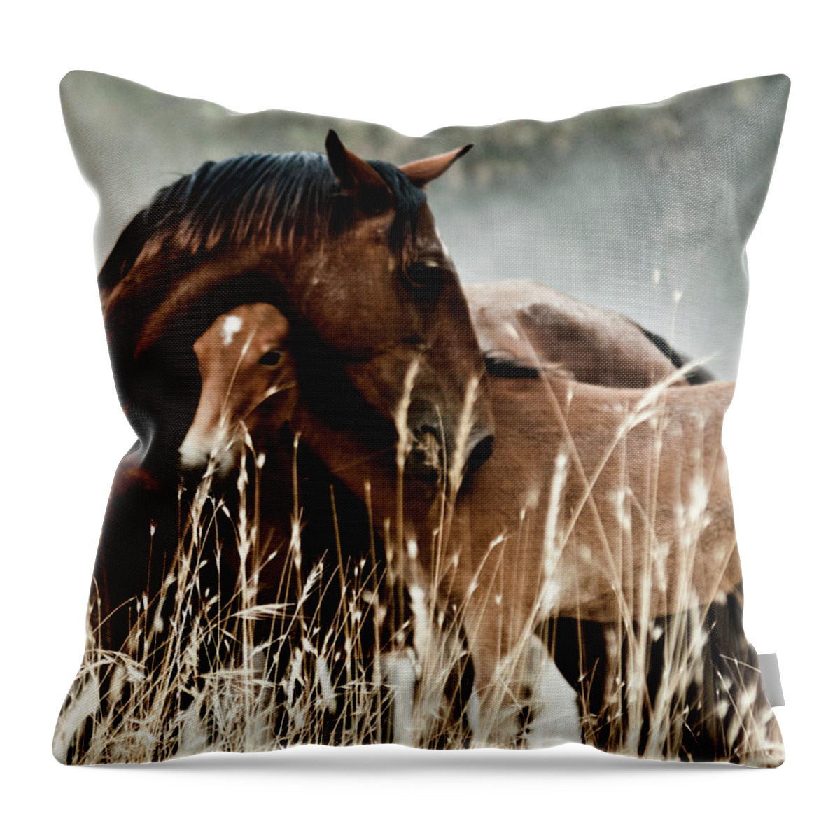 Horse Throw Pillow featuring the photograph Horse With Foal by Fran Maldonado