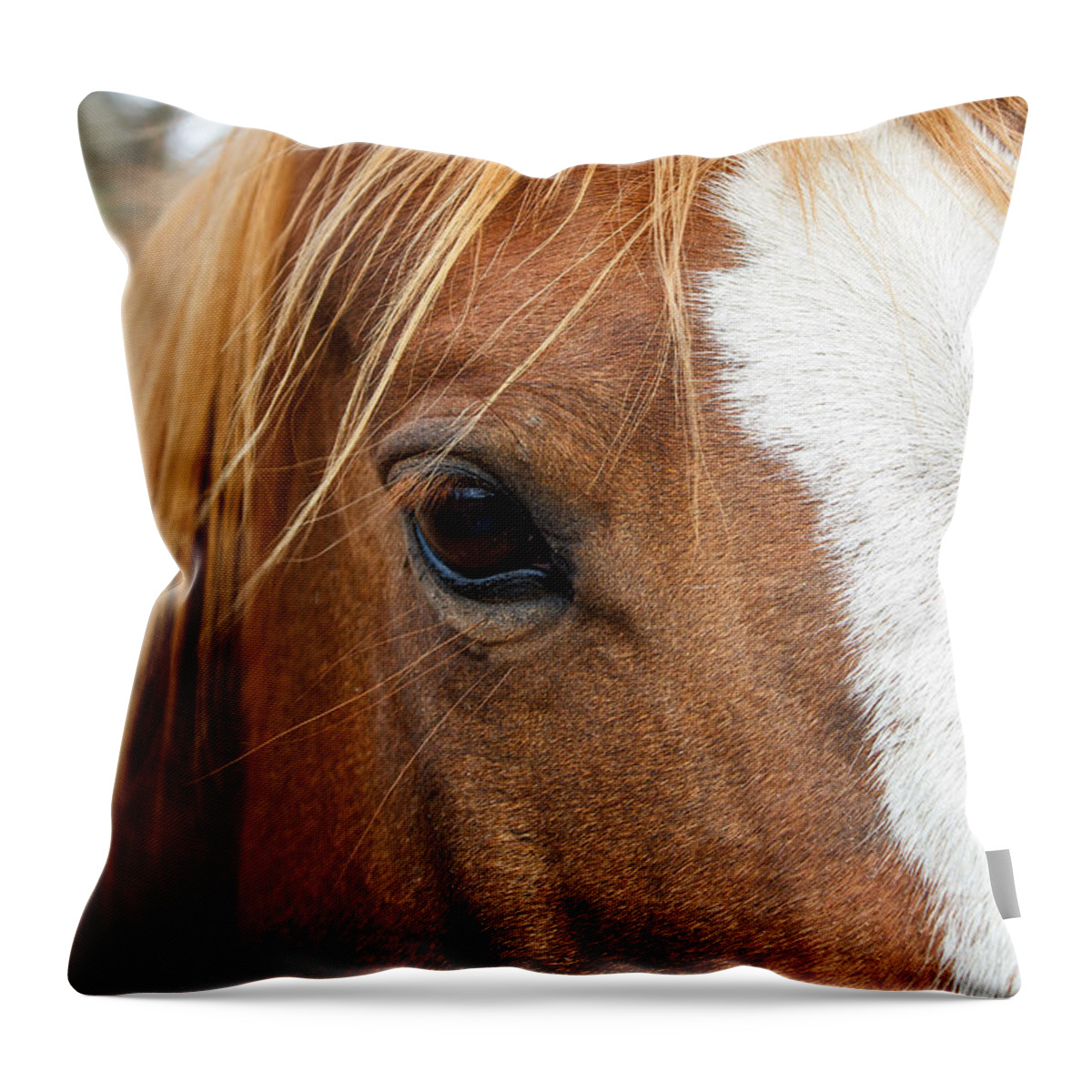 Cow Horse Throw Pillow featuring the photograph Horses Eye Print by Doug Long