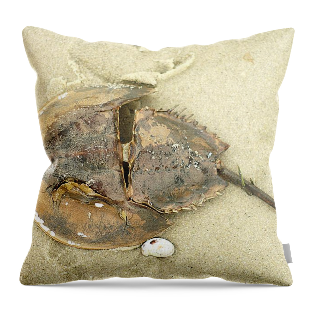 Horseshoe Crab Throw Pillow featuring the photograph Horseshoe Crab on the Beach by Suzanne Powers