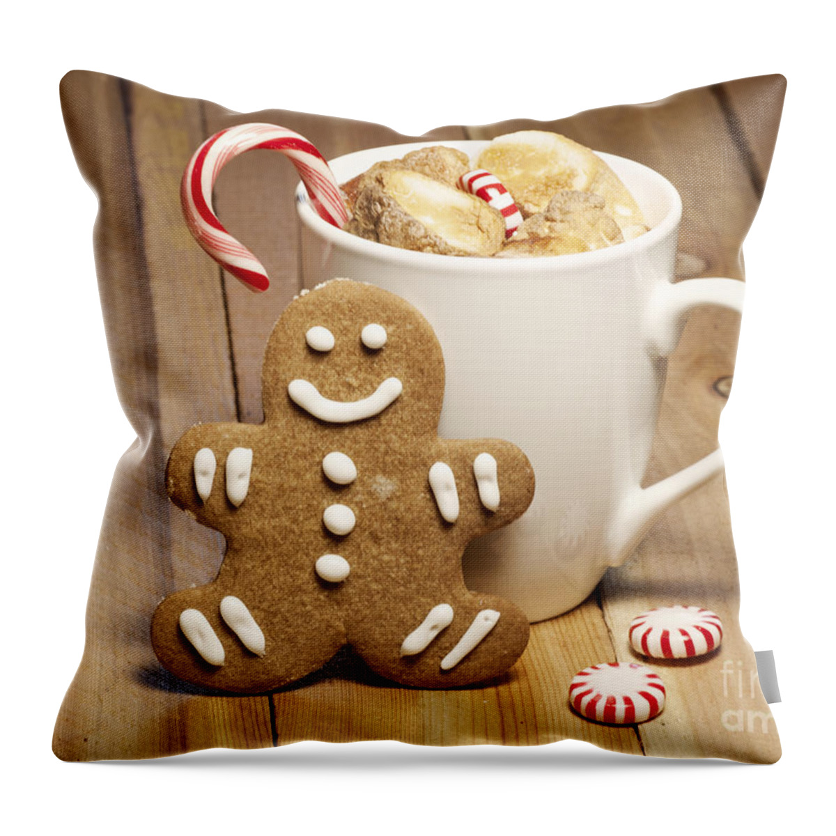 Baked Throw Pillow featuring the photograph Hot Chocolate Toasted Marshmallows and a Gingerbread Cookie by Juli Scalzi