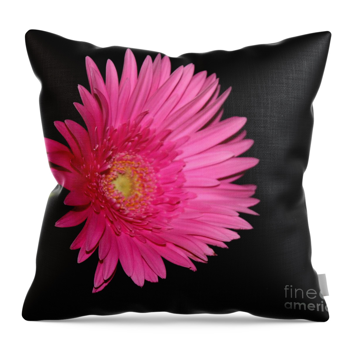 Flower Throw Pillow featuring the photograph Hot Pink by Margaret Hamilton
