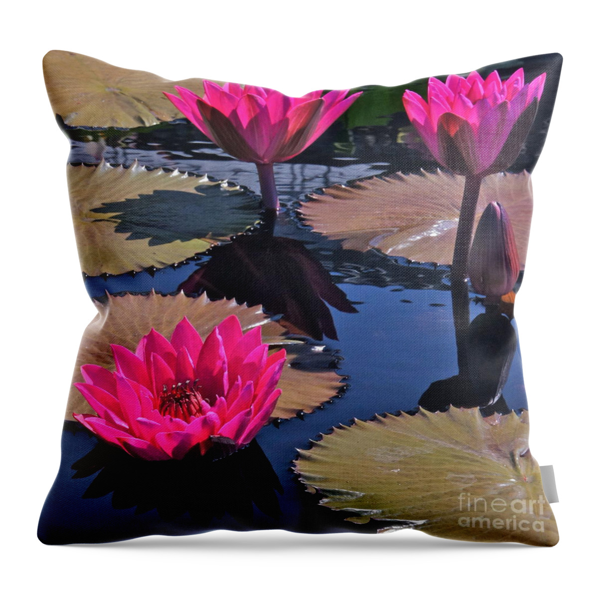 Hot Pink Throw Pillow featuring the photograph Hot Pink Tropicals by Byron Varvarigos