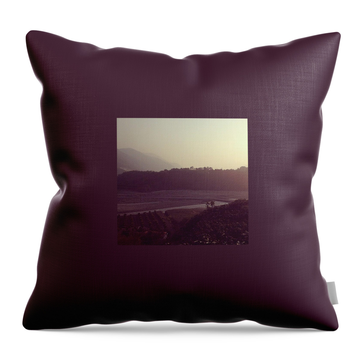 Mountains Throw Pillow featuring the photograph Mountain Hotsprings by Ashley Irwin