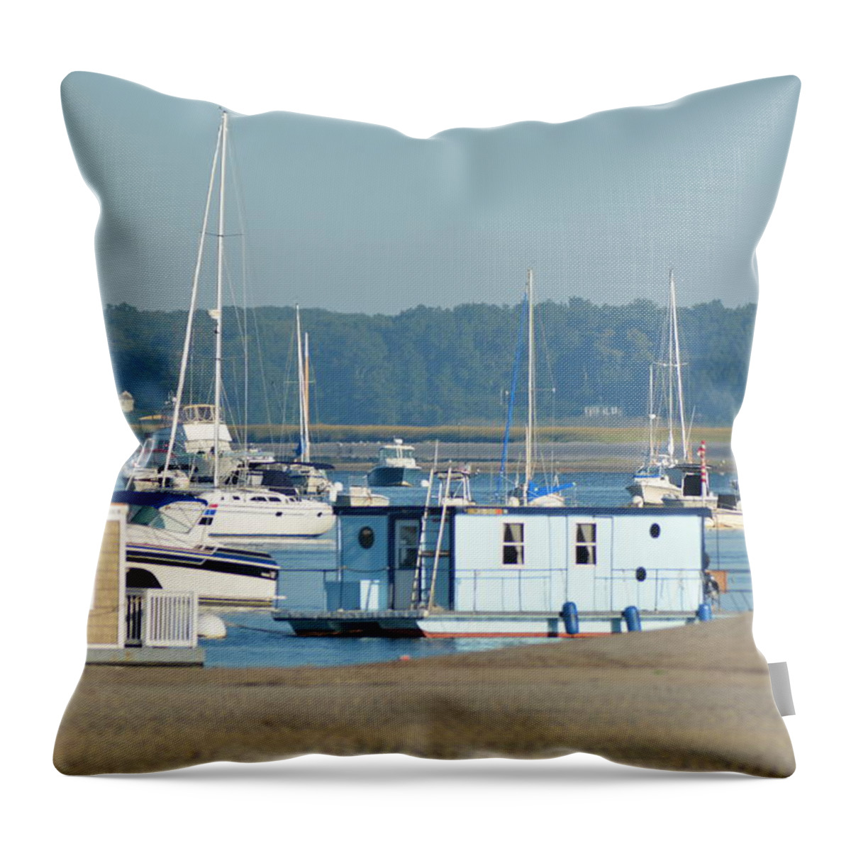 House Boats Throw Pillow featuring the photograph House Boats by Jo-Ann Matthews