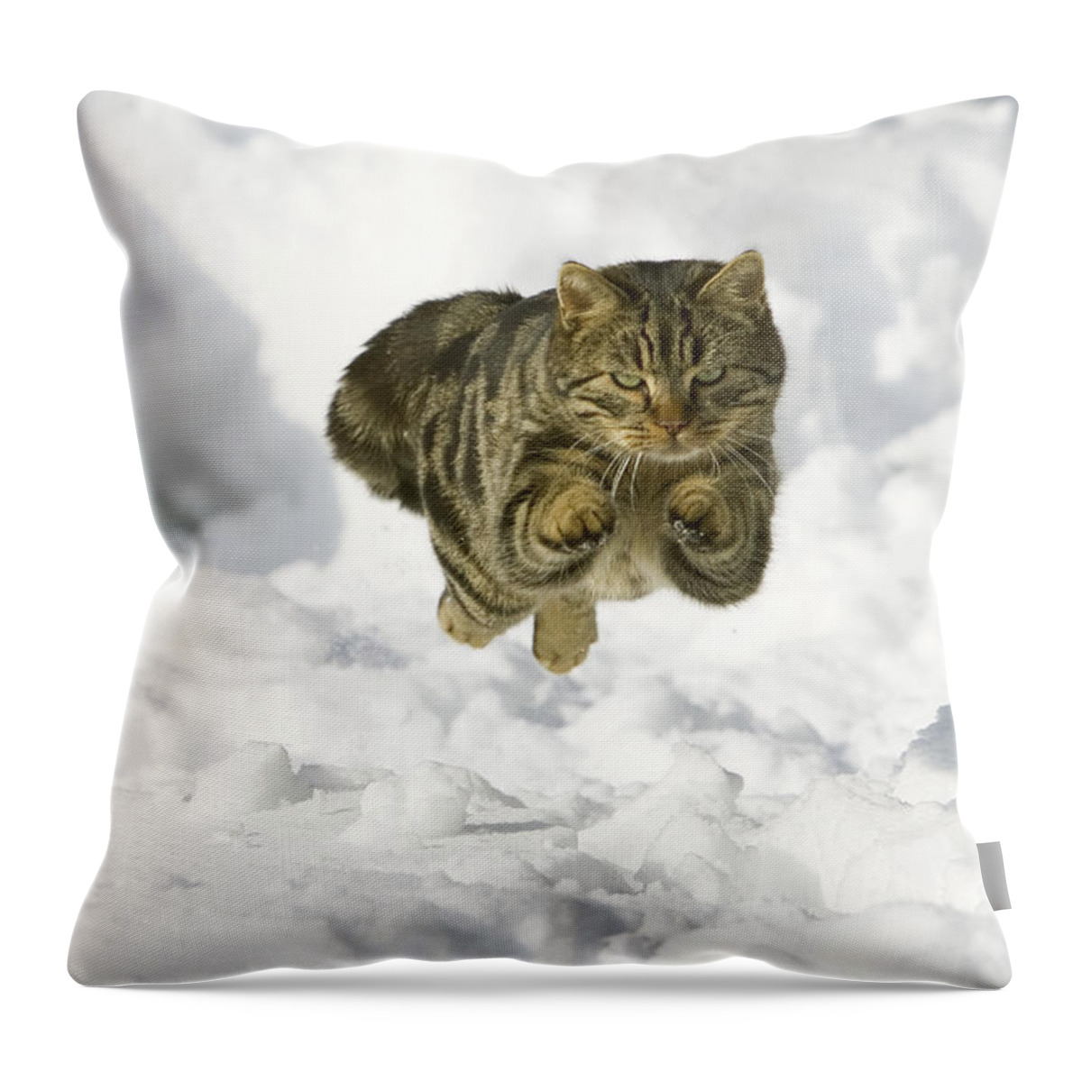 Feb0514 Throw Pillow featuring the photograph House Cat Male Jumping In Snow Germany by Konrad Wothe