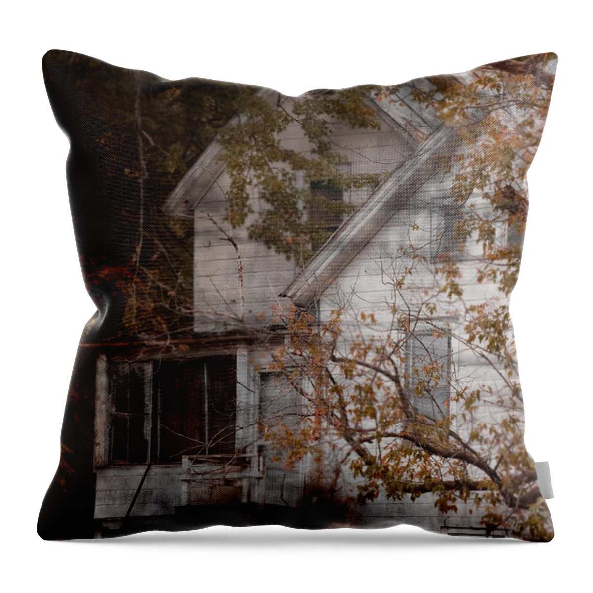 Abandoned; Home; House; Old; Farmhouse; Spooky; Peeling Paint; Derelict; Neglected; Sidewalk; Creepy; Dark; Entrance; Stairs; Door; Haunted; Porch; Eerie; Scary; Ruin; Mood; Gloomy; Rural Throw Pillow featuring the photograph House in Fall by Margie Hurwich
