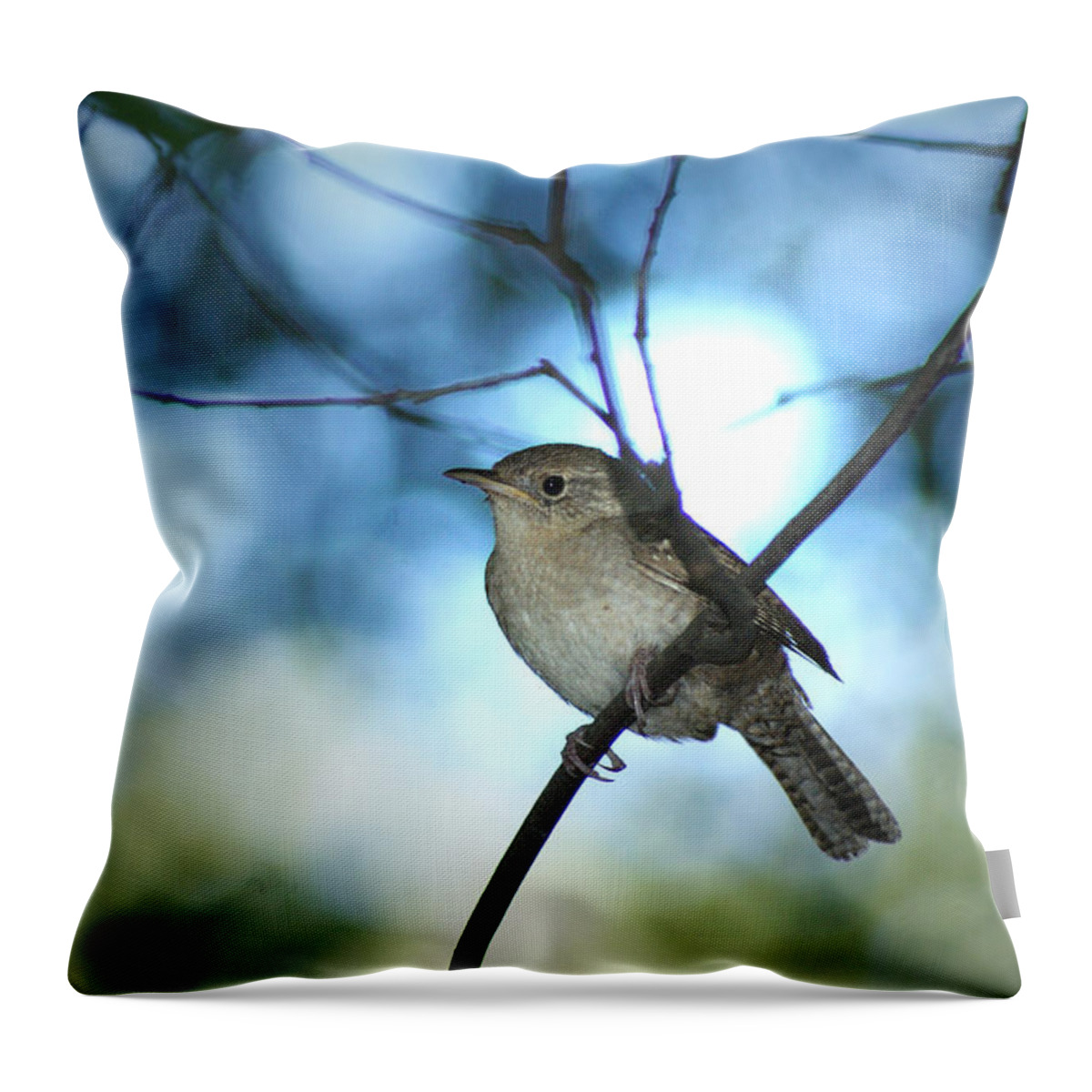 Birds Throw Pillow featuring the photograph House Wren on Blue by Margie Avellino