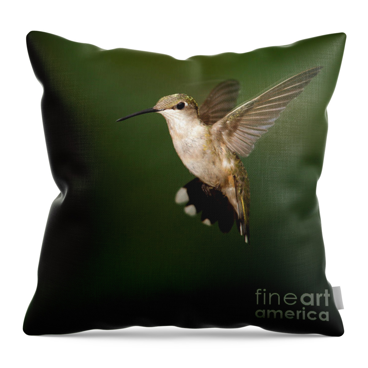 Alabama Throw Pillow featuring the photograph Hovering Hummingbird by Sabrina L Ryan