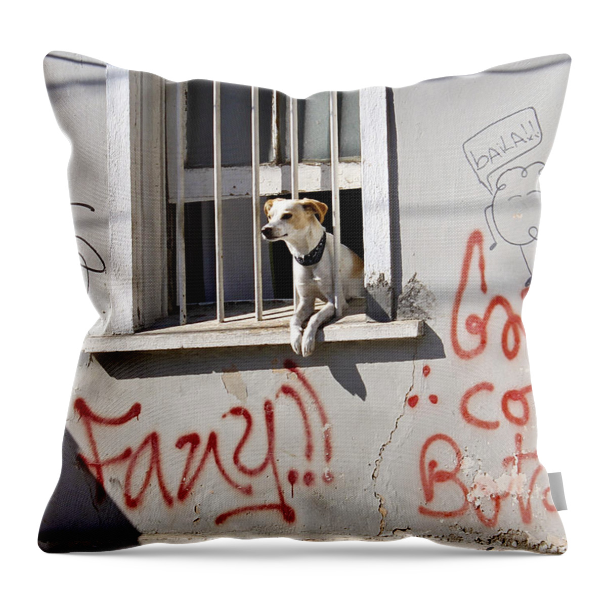 Dog Throw Pillow featuring the photograph How much is that Doggie in the Window? by Kurt Van Wagner