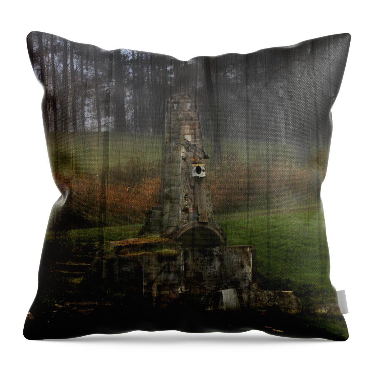 Howard Chandler Christy Throw Pillow featuring the photograph Howard Chandler Christy Ruins by David Yocum