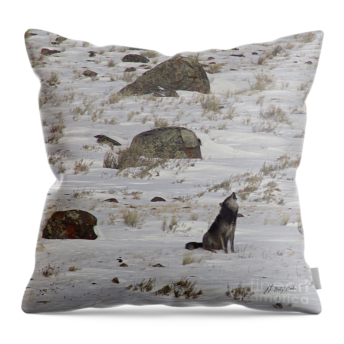 Wolf Throw Pillow featuring the photograph Howlin' In THe New Year  #3536-Signed by J L Woody Wooden