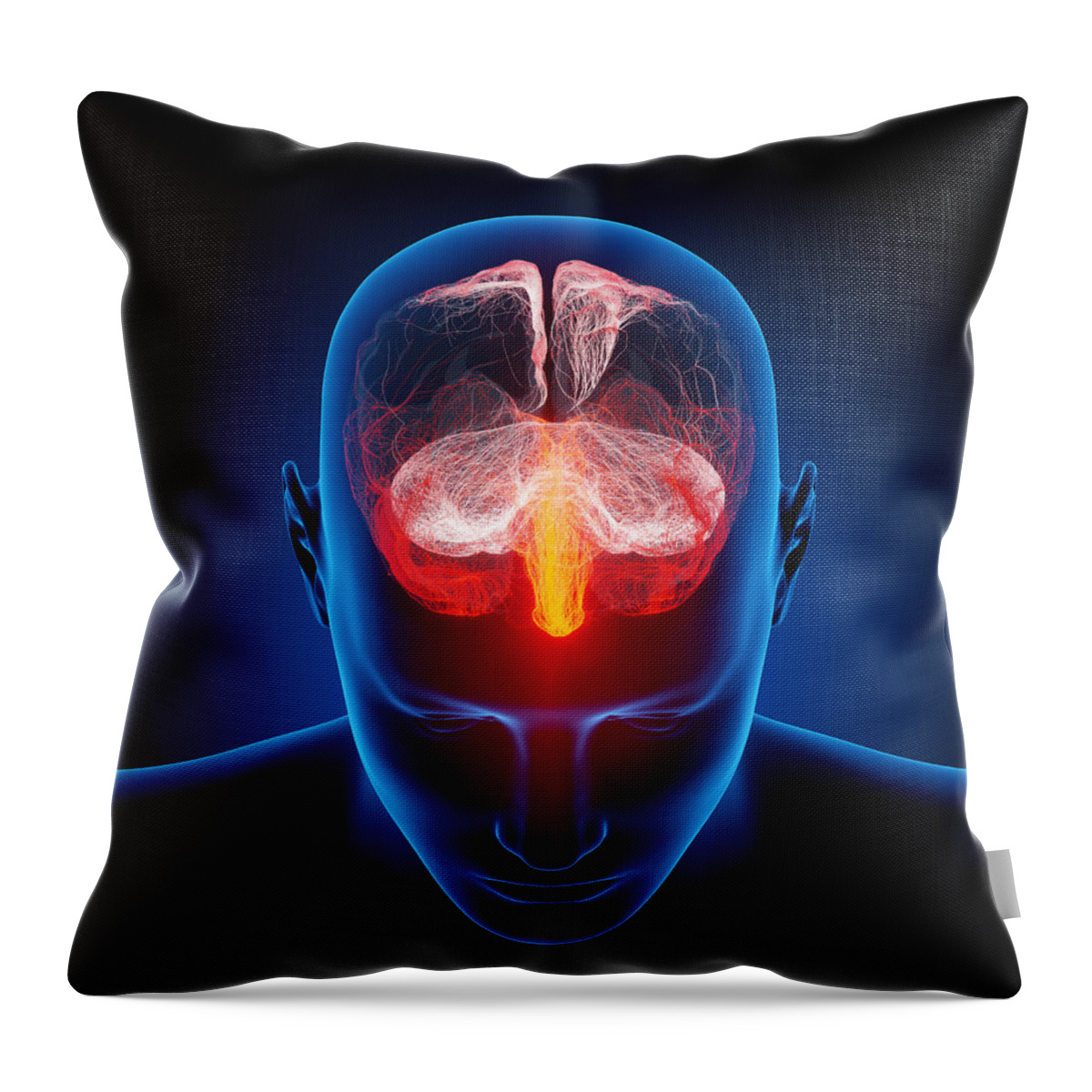 Brain Throw Pillow featuring the photograph Human brain by Johan Swanepoel