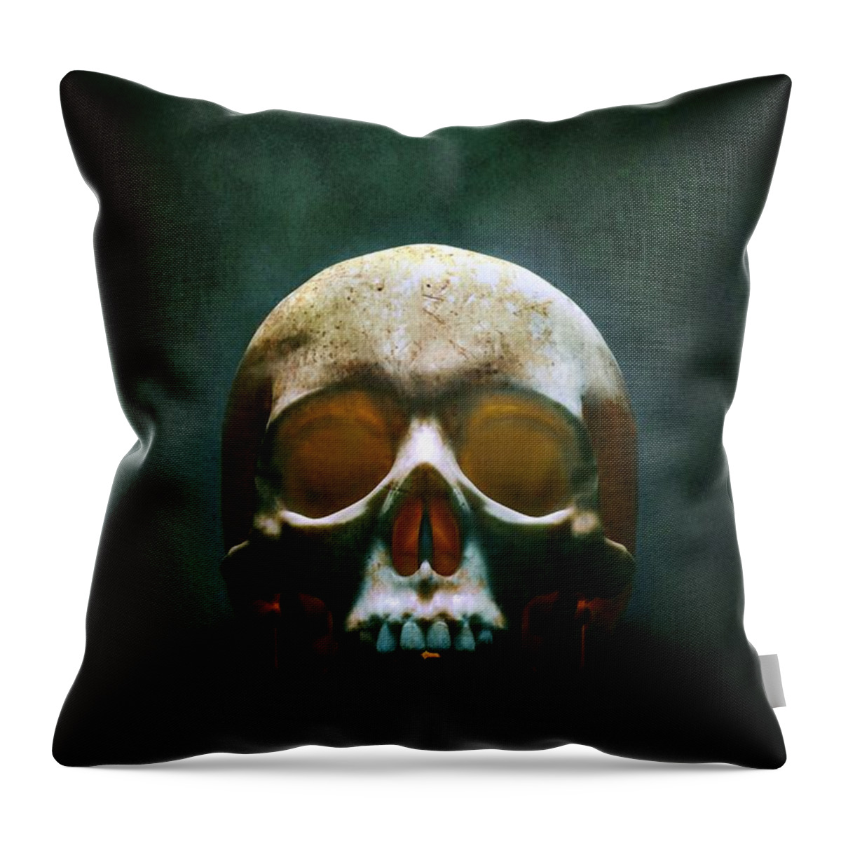 Skull Throw Pillow featuring the photograph Human Skull by Carlos Caetano
