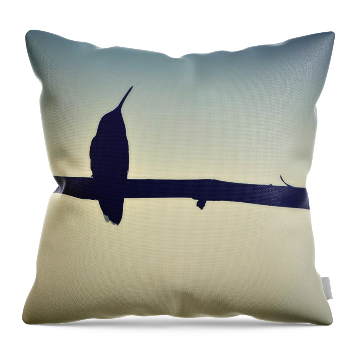 Art Photography Throw Pillow featuring the photograph Humingbird at Sunset by Marysue Ryan