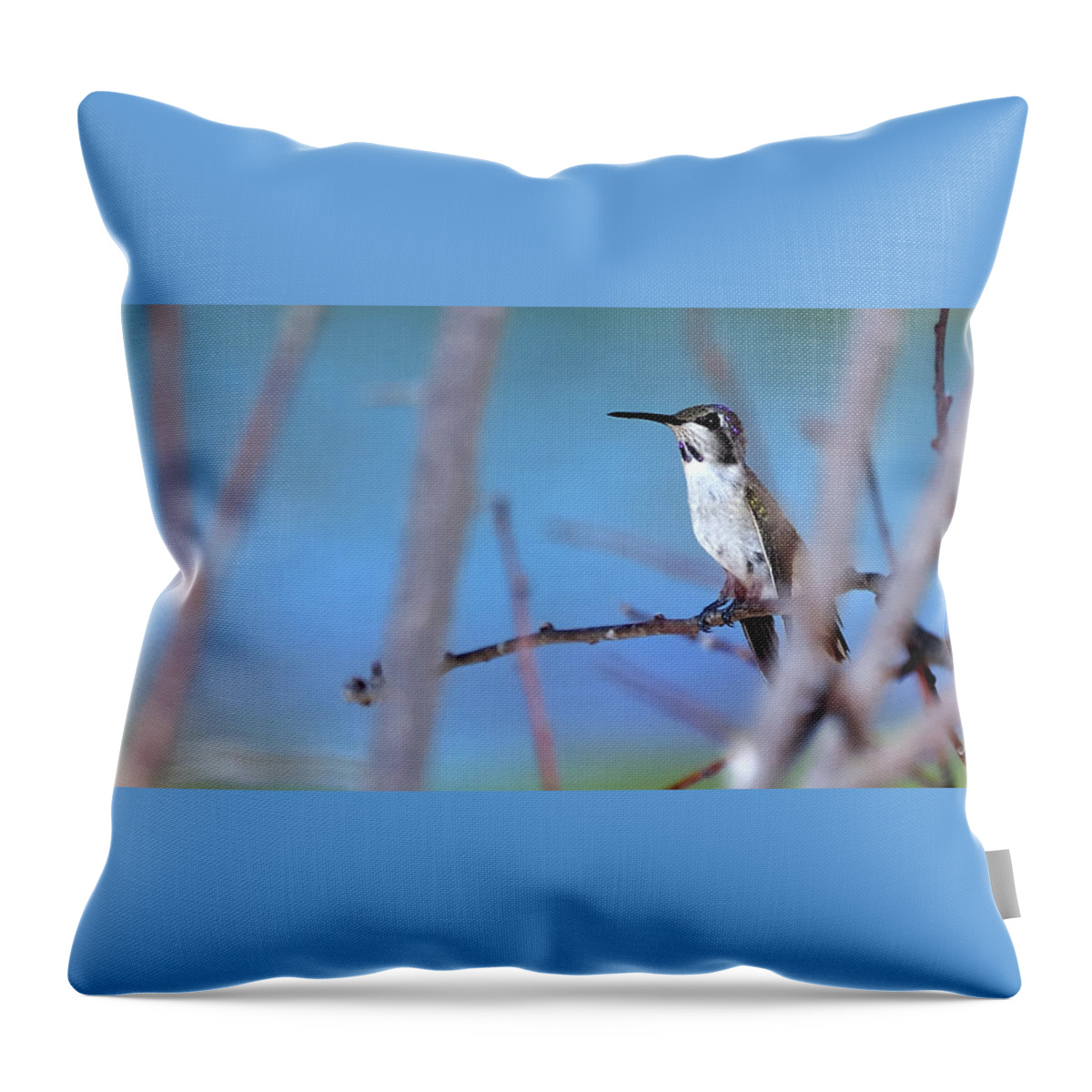 Bird Throw Pillow featuring the photograph Hummingbird 20323 3 by Jerry Sodorff