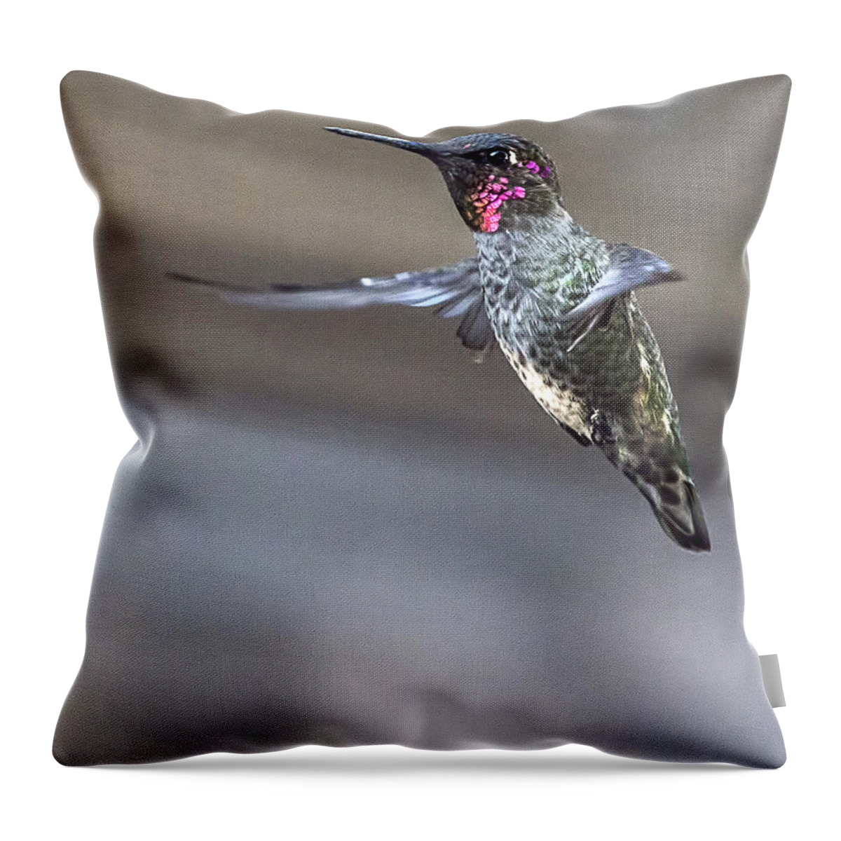 Endre Throw Pillow featuring the photograph Hummingbird 4 by Endre Balogh