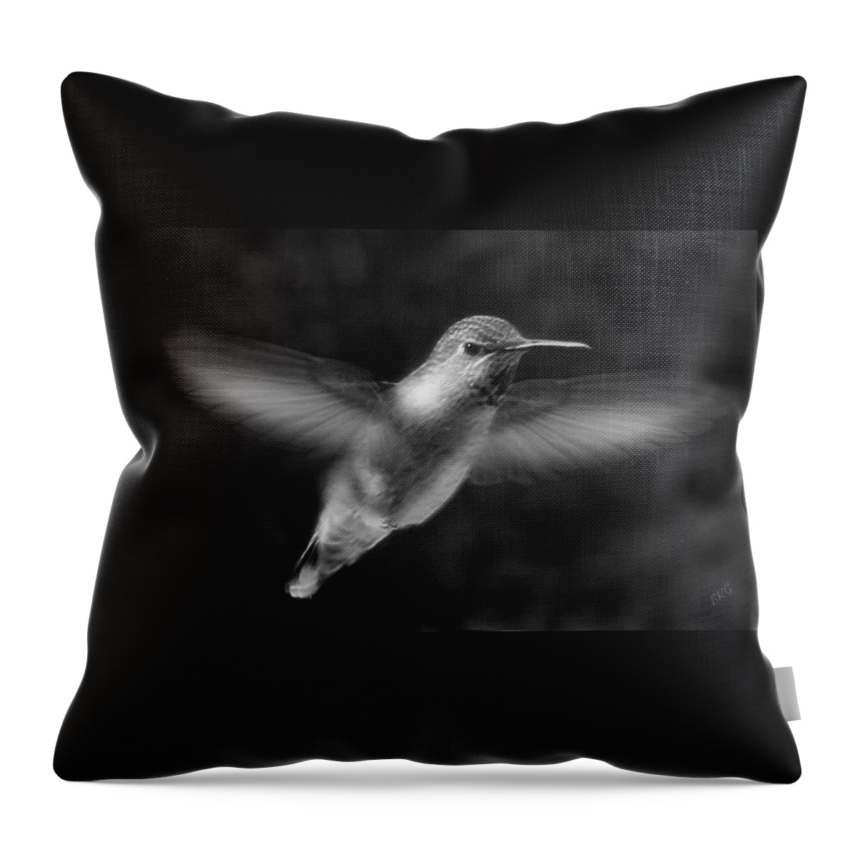 Bird Throw Pillow featuring the photograph Hummingbird by Ben and Raisa Gertsberg