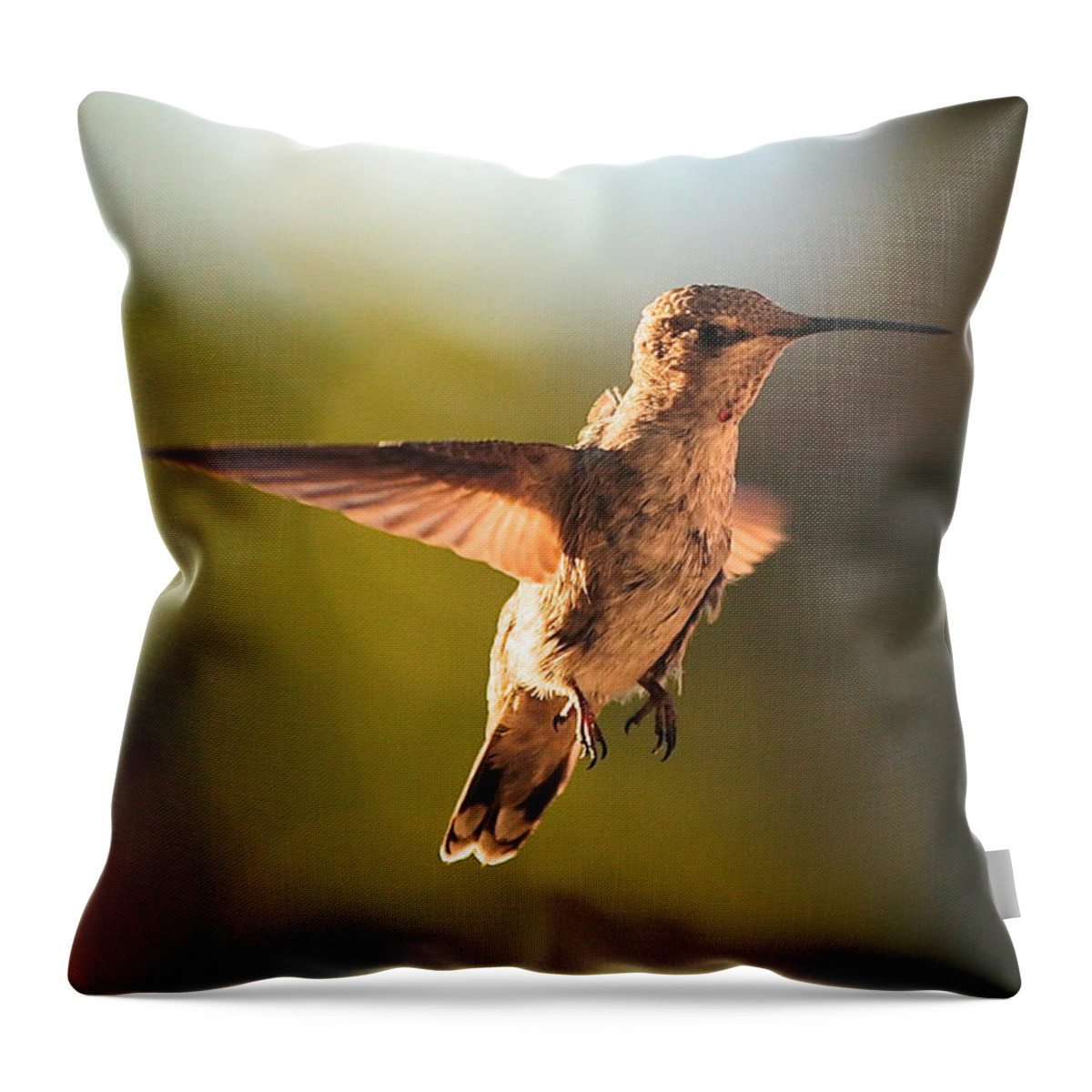 Hummingbird Throw Pillow featuring the photograph Hummingbird Bokeh by Carol Groenen