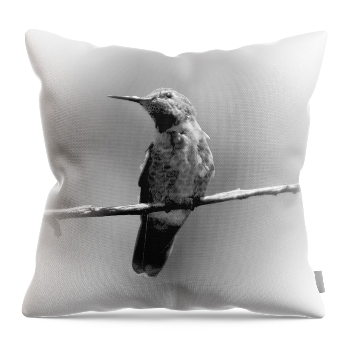 Hummingbird Throw Pillow featuring the photograph Hummingbird in Black and White by Her Arts Desire
