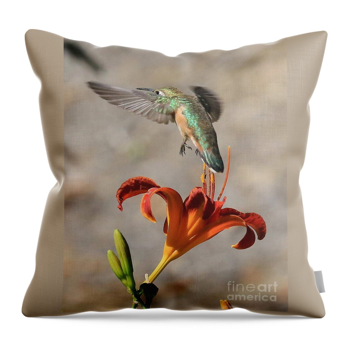 Hummingbird Throw Pillow featuring the photograph Hummingbird over the Daylily by Carol Groenen