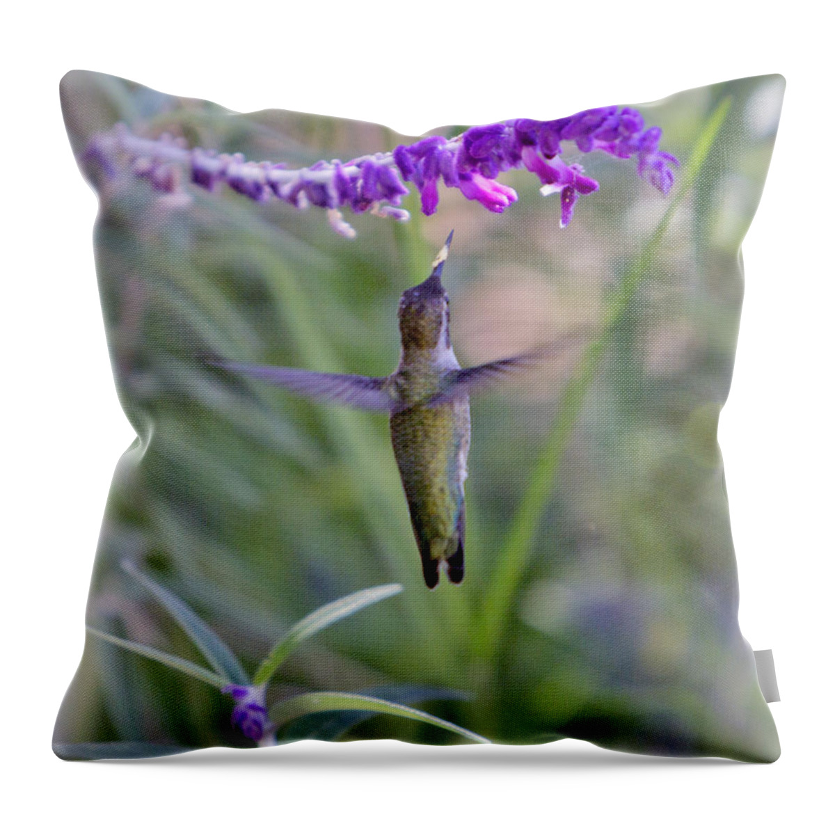 Hummingbird Throw Pillow featuring the photograph Hummingbird Series 03 by Her Arts Desire
