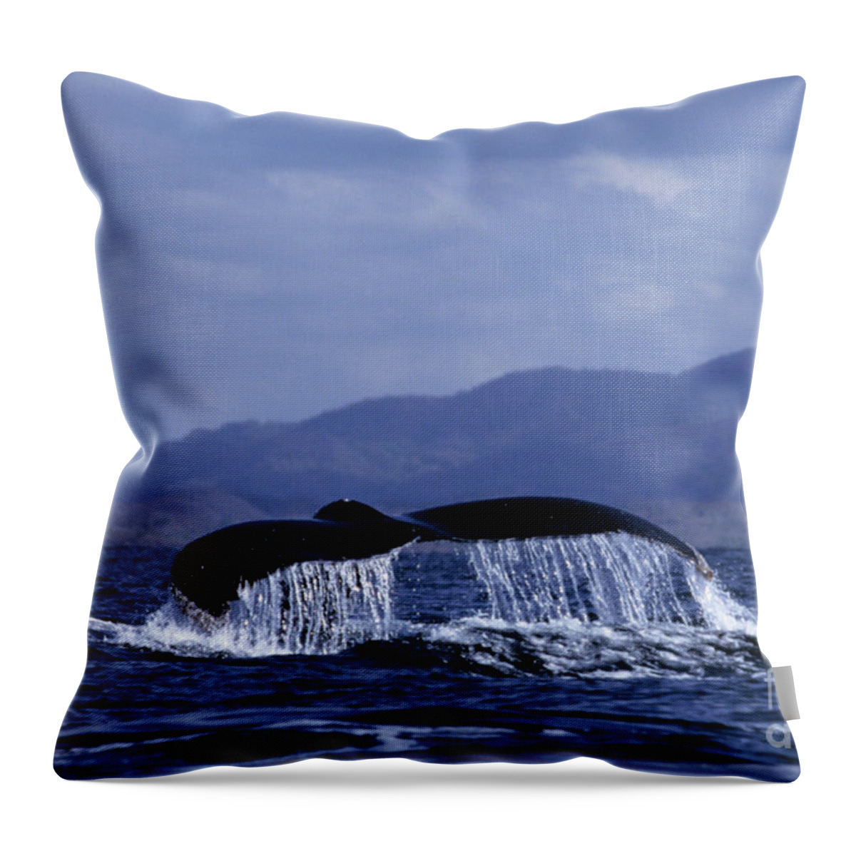 Nature Throw Pillow featuring the photograph Hump backed whale tail with cascading water by John Harmon