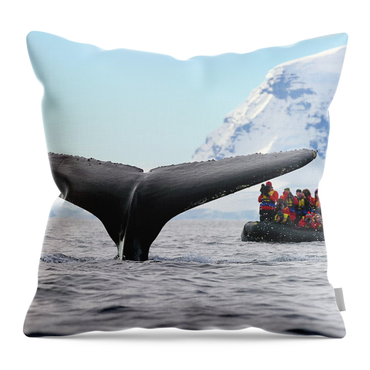 Humpback Whale (megaptera Novaeangliae) Throw Pillow featuring the photograph Humpback Whale Fluke by Tony Beck